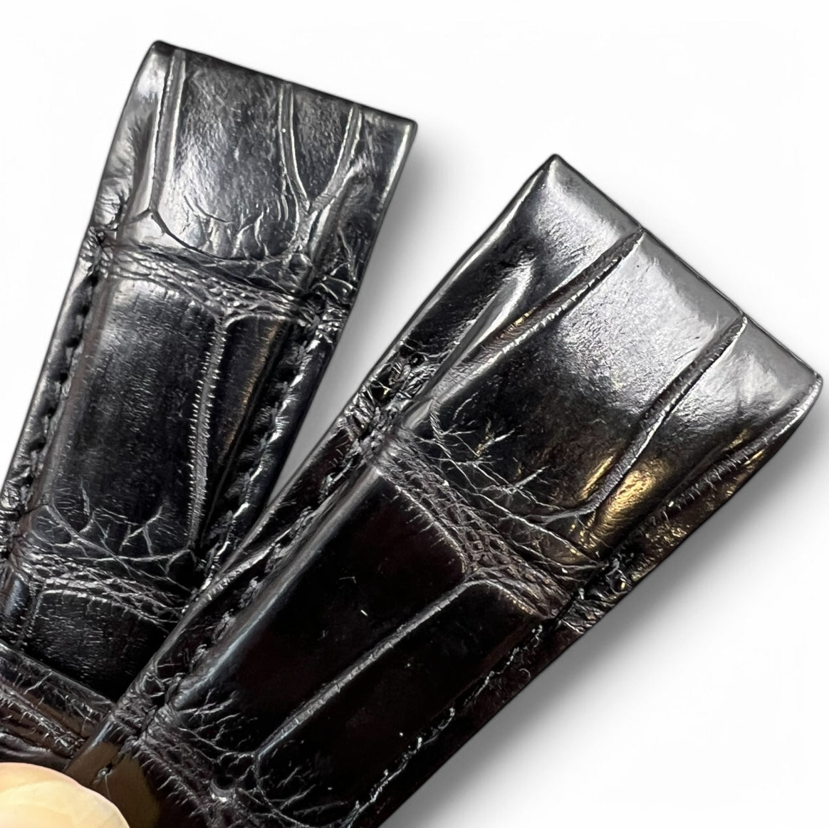 Franck Muller Conquistador 8900/9900 Alligator Strap